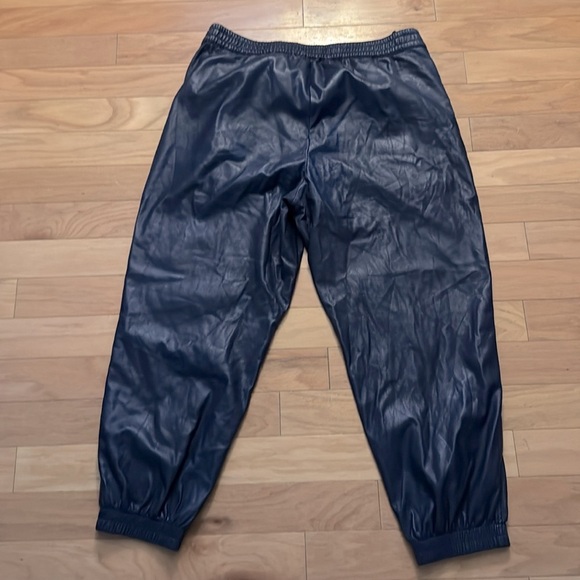 Aritzia Babaton | Faux Leather Joggers | Pull On | Dark Blue | Soft Lined | 2XL - Picture 5 of 5
